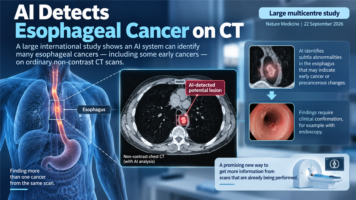 Medical illustration showing artificial intelligence analysing a non-contrast chest CT and highlighting the esophagus for possible early cancer detection.