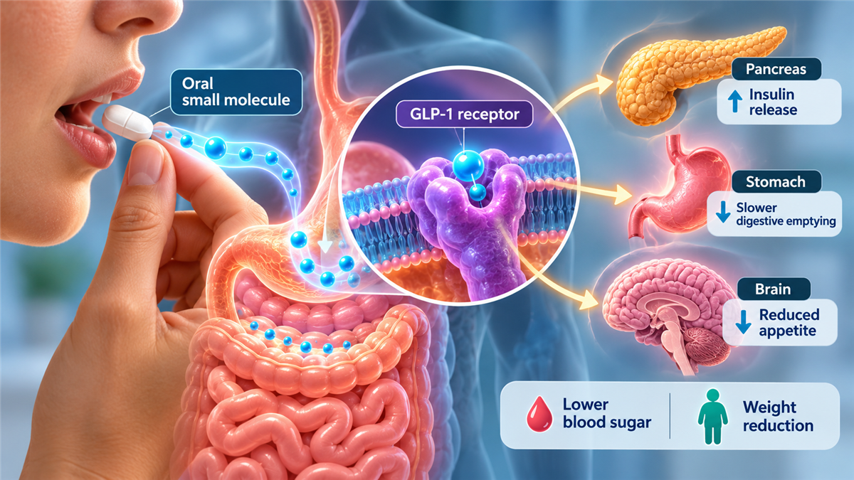 පරීක්ෂණාත්මක මුඛ small-molecule GLP-1 ඖෂධය වන Safiglipron පෙන්වන වෛද්‍ය රූපසටහනක්